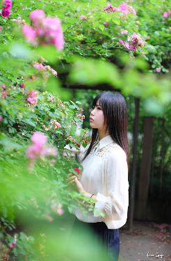 老牛影院在线播放免费高清电视剧